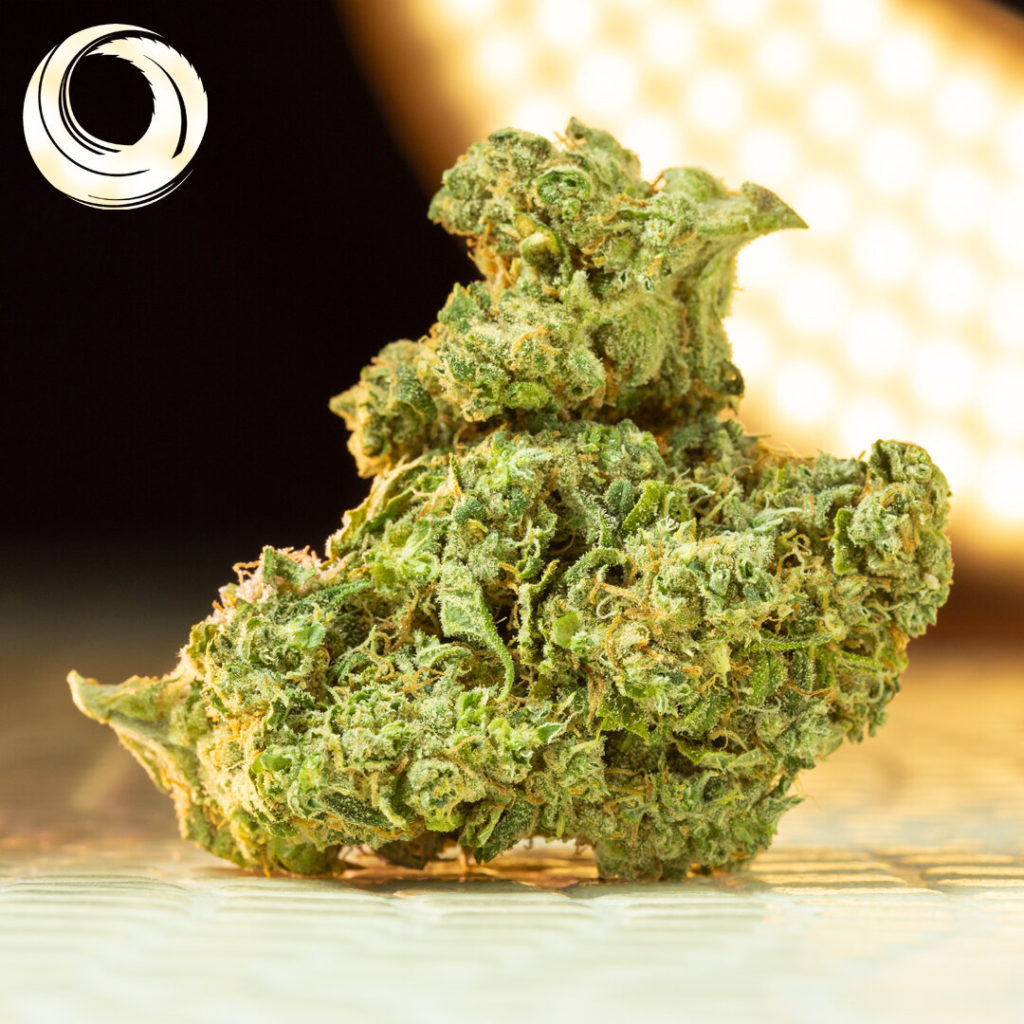 5 Best Weed Strains of 2019 KindPeoples Santa Cruz Dispensary